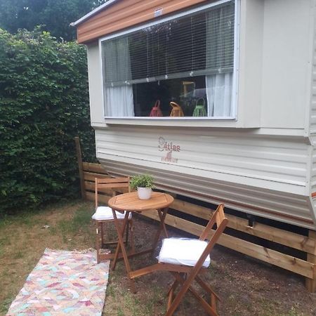 Caravan In Bosrijk Gebied Hotell Zuidlaren Eksteriør bilde