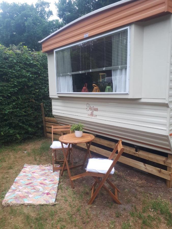 Caravan In Bosrijk Gebied Hotell Zuidlaren Eksteriør bilde